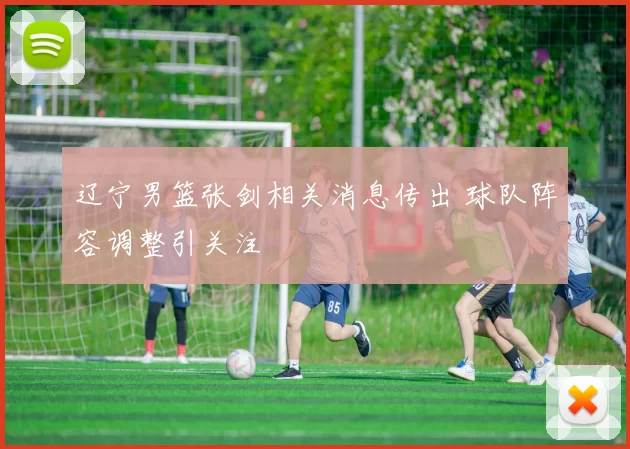 辽宁男篮张剑相关消息传出 球队阵容调整引关注