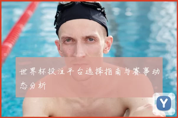 世界杯投注平台选择指南与赛事动态分析