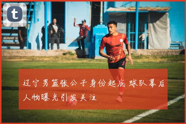 辽宁男篮张公子身份起底 球队幕后人物曝光引发关注