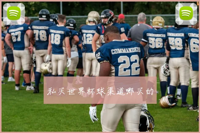 私买世界杯球渠道哪买的