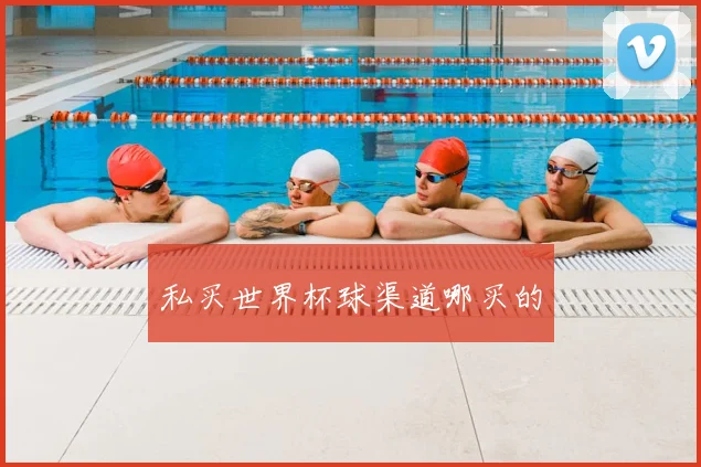 私买世界杯球渠道哪买的